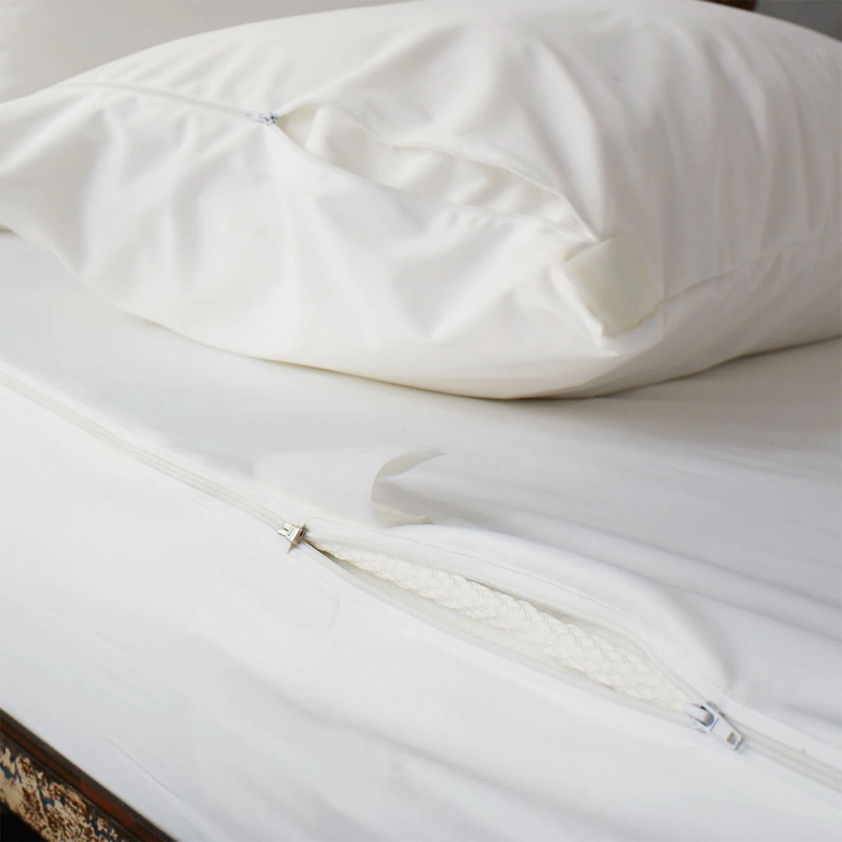 Anti Bed Bug Single Mattress Encasement 1 Anti Bed Bug Single Mattress Encasement