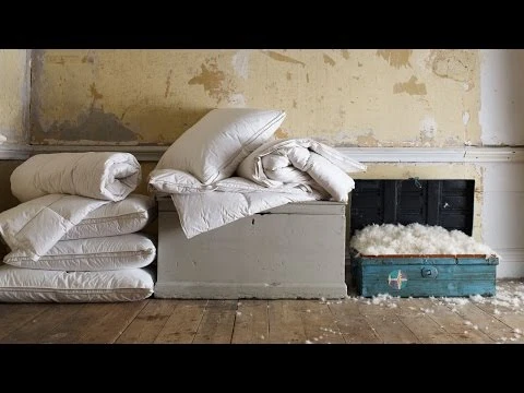 Hungarian Goose Down Standard Pillow - Medium/Firm 1 Hungarian Goose Down Standard Pillow - Medium/Firm